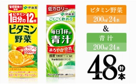 伊藤園　ビタミン野菜＆青汁（紙パック）48本 【 伊藤園 飲料類 野菜ジュース ミックスジュース 青汁 ジュース 野菜ジュース セット 詰め合わせ 飲みもの 】