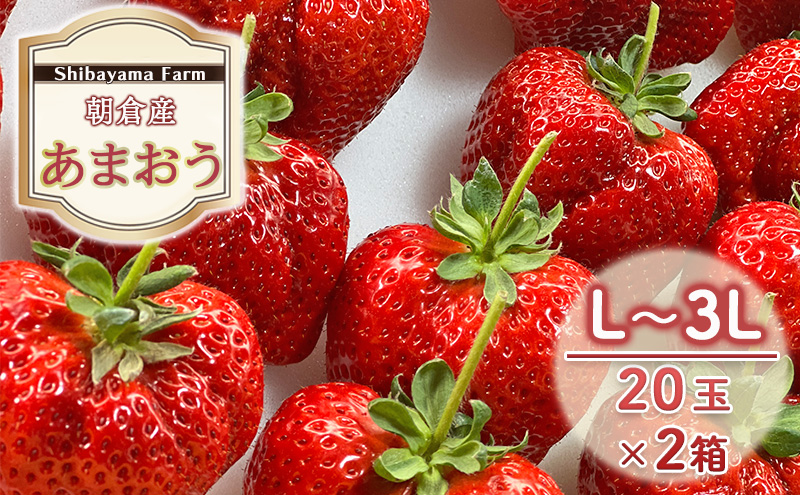いちご 朝倉市産 あまおう L～3L 20玉×2箱 イチゴ 苺 果物 デザート ＜しばやま農園＞ ※配送不可：離島 