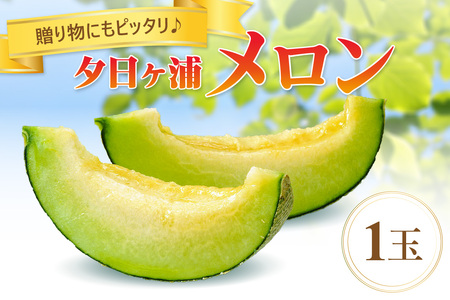 【先行予約／数量限定100】夕日ヶ浦メロン1玉（2026年7月中旬～発送）