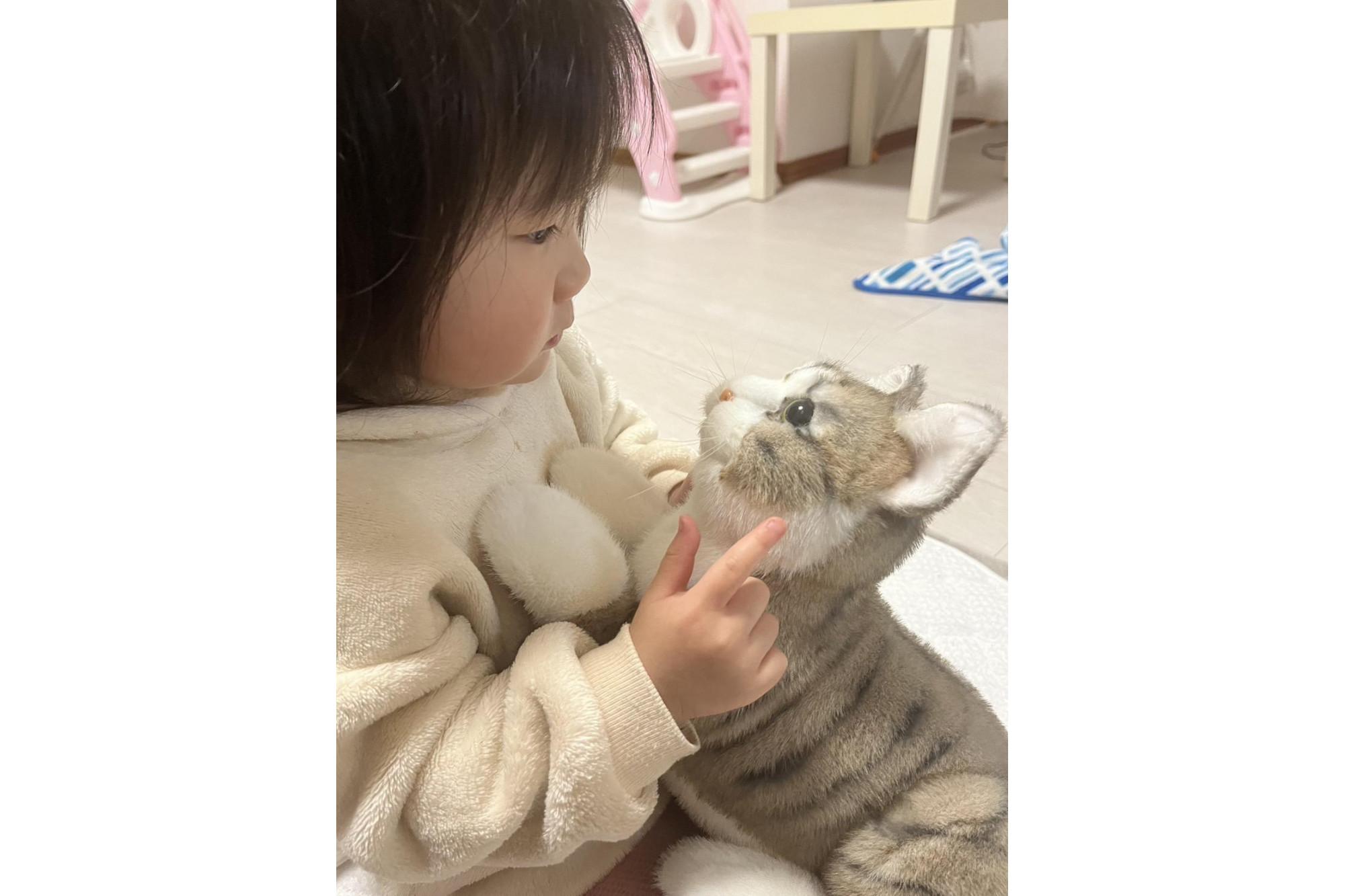 川崎市のロボットメーカーが作る、シニア向けペットの代理ロボット！なでなでねこちゃんEXシリーズ（キジトラ）