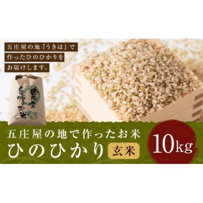 ふるさと納税 うきは市 五庄屋の地で作ったお米 ひのひかり 玄米10kg U160-1RC-BW02-10