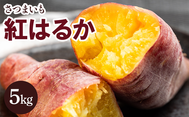 
            さつまいも 紅はるか5kg - サツマイモ さつま芋 野菜 焼き芋 やきいも 焼いも おやつ スイーツ スイートポテト 天ぷら 国産 高知県 香南市 gr-0132
          