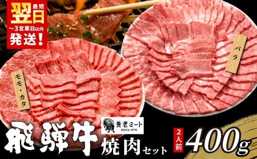 【11月発送】 贅沢！ 飛騨牛 焼肉セット 400g 2人前 牛肉 和牛 肉 焼肉 BBQ 霜降り カルビ 赤身 モモ カタ 東白川村 岐阜 養老ミート
