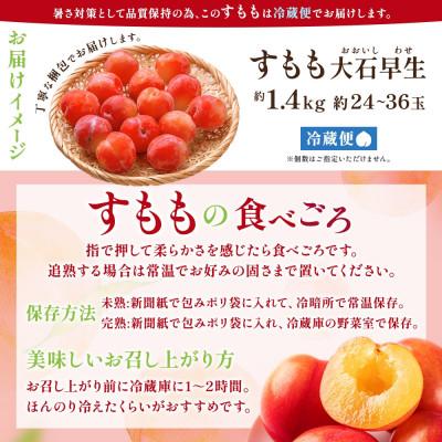 ふるさと納税 笛吹市 農園直送!甘酸っぱくて美味しいスモモ「大石早生」6P 約1.4kg 24〜36玉入 村松農園 山梨県 |  | 02