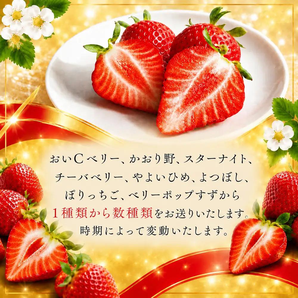 大粒 いちご 9粒 種類お任せ 旬 【先行予約 1月から発送】