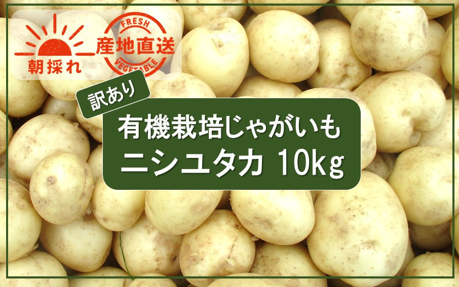 
【訳あり】朝収穫してその日に発送！有機栽培じゃがいも10kg（品種：ニシユタカ）_2356R
