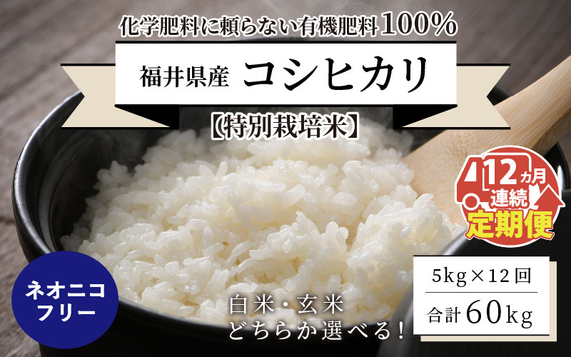 
            【先行予約】【令和7年産・新米】【12ヶ月連続お届け】【特別栽培米】福井県産 コシヒカリ 5kg ～化学肥料にたよらない有機肥料100%～ ネオニコフリー 【2025年10月上旬以降順次発送予定】【 白米 玄米 お米 ごはん ブランド米 こしひかり 5キロ 産地直送 定期便 お楽しみ ふるさと納税米 】 [J-13401]
          