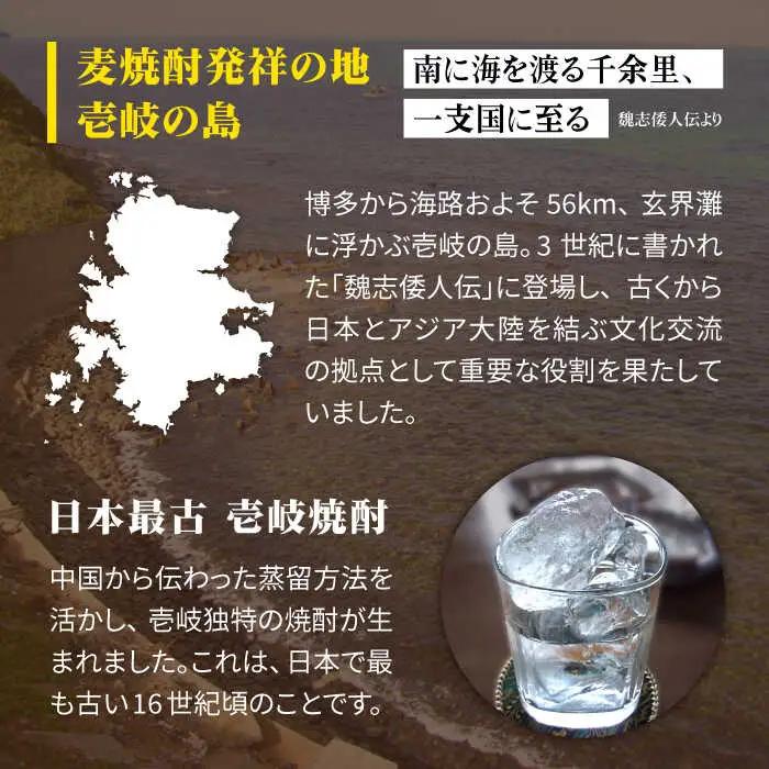 【全2回定期便】 麦焼酎 壱岐 25度 1800ml 紙パック 6本 《壱岐市》【天下御免】 むぎ焼酎 焼酎 麦 酒 お酒 [JDB382]