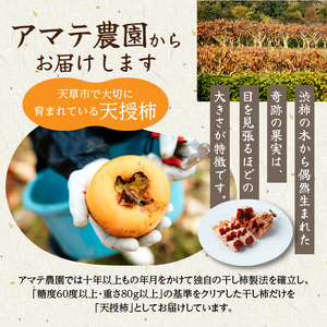 S111-006_和スイーツ!天授柿(干し柿) 100g×1個