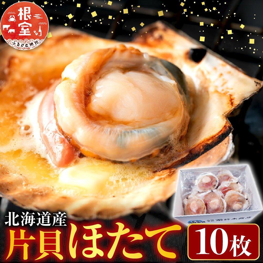 【ふるさと納税】 片貝ほたて 10 枚 ホタテ ほたて 帆立 帆立貝柱 ほたて貝柱 ホタテ貝柱 貝柱 殻付き 炉端焼き お取り寄せ グルメ 海鮮 北海道 根室市 ふるさと納税 G-14044