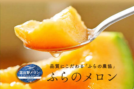 【2026年発送】富良野メロン4～5玉（計8kg以上）【JAふらの】【AC-015】