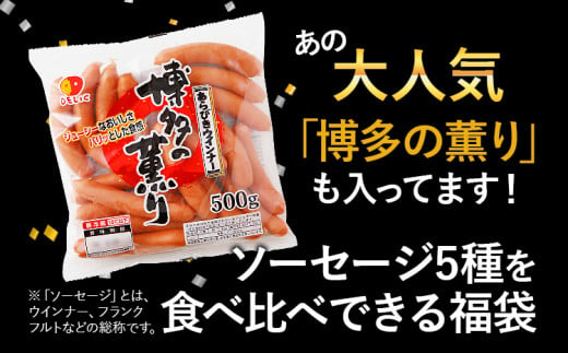 特盛！ソーセージ食べ比べまんぷく福袋（5種入り）  合計4.02kg