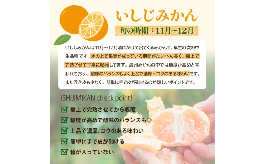 【先行受付】【2026年12月～発送】 倉橋ミカン食べてクレ園 いしじみかん 約5kg / 贈答用 甘い 完熟 オレンジ ワックス不使用 防腐剤不使用 温州ミカン 果実 倉橋島 広島県 呉市 ku15