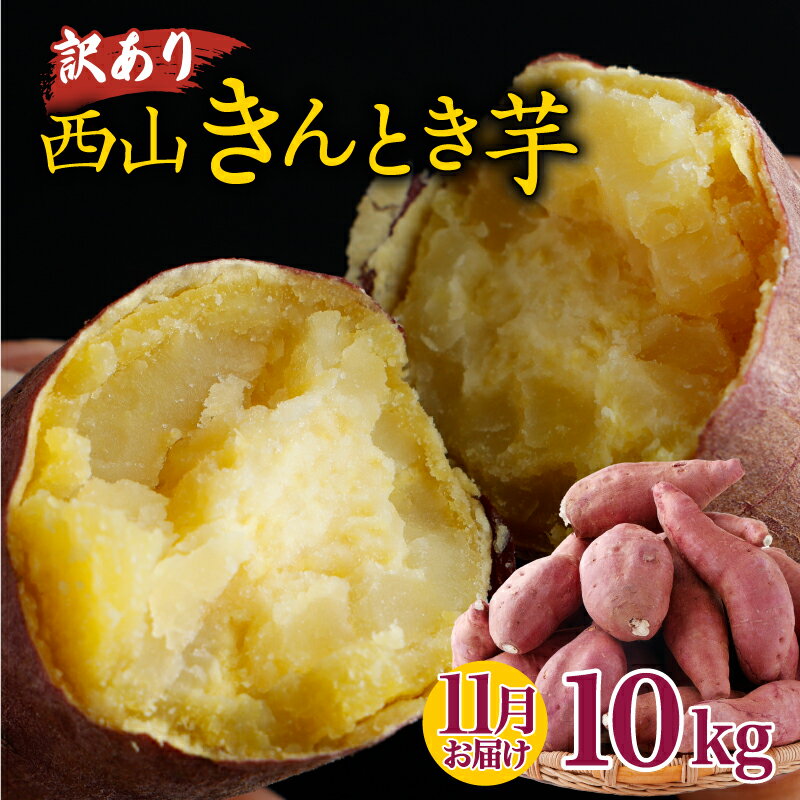 【ふるさと納税】 【令和7年11月お届け】 西山きんとき芋 10kg ｜ さつまいも 芋 サツマイモ 訳あり わけあり 産地直送 さつま芋 人気 ランキング おすすめ 金時芋 焼き芋 野菜 故郷納税 先行予約 高知県 室戸市