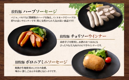 北海道産放牧豚 無添加ウインナーセットB