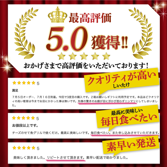 肉厚 生椎茸 【優品】15枚セット / 生しいたけ 生シイタケ きのこ キノコ 茸 / 南島原市 / サンエスファーム [SBX003]_イメージ3