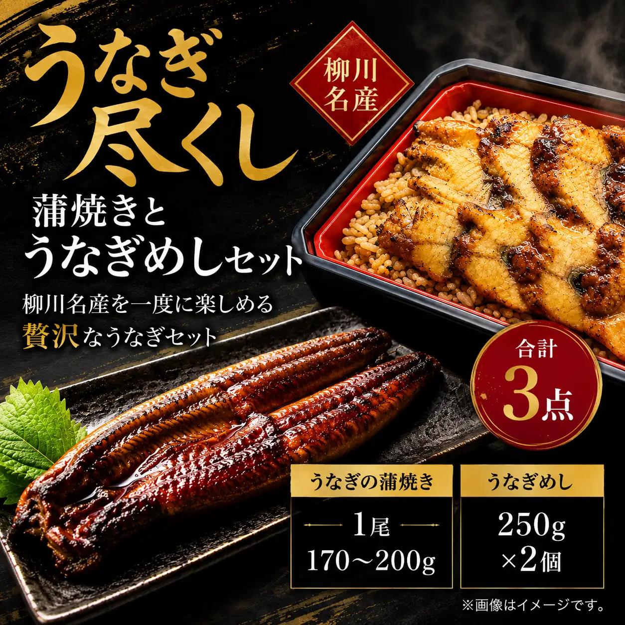 うなぎ尽くし 蒲焼きとうなぎめしセット うなぎ 蒲焼き 1尾 170～200g うなぎめし 250g×2個