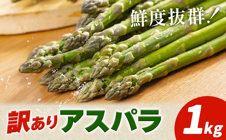 
                  アスパラガス 訳あり 1kg JA門別 北海道 日高町産 グリーンアスパラ 春 野菜 朝採り 鮮度抜群 お取り寄せ グルメ 産地直送 農協 太い 甘い 甘み 旬 送料無料 《4月中旬-5月末頃出荷予定》
                