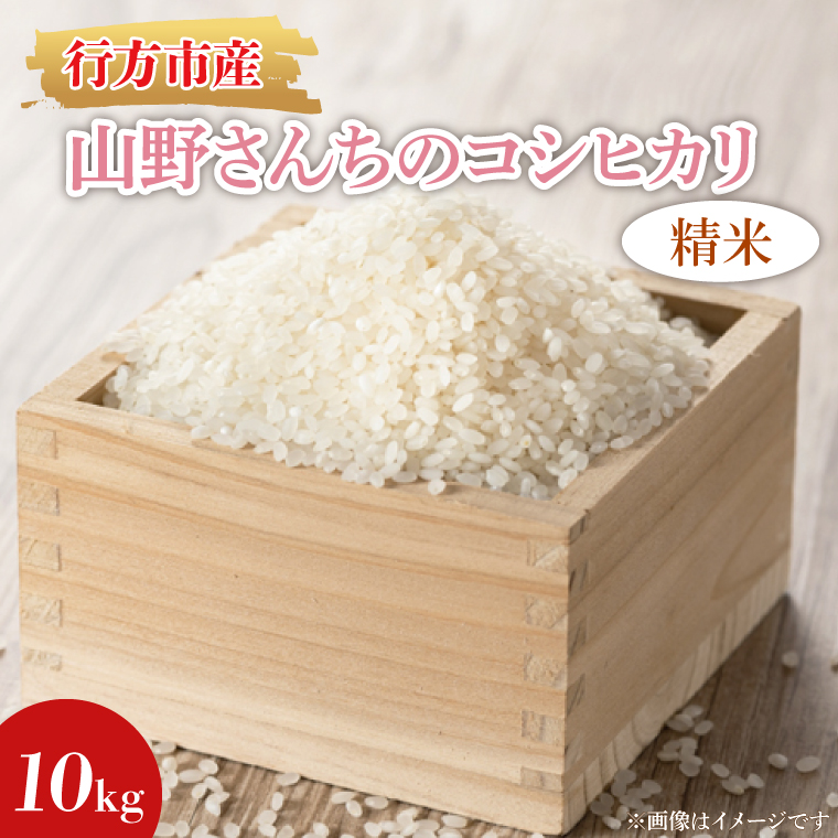 ★令和7年度産★山野さんちのコシヒカリ 10kg(精米)｜米 お米 こめ こしひかり コシヒカリ 令和7年産 R7年産 精米 茨城県 行方市(BR-7-1)