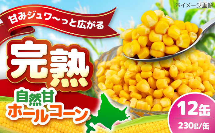 
【北海道産】 自然甘ホールコーン 12缶（C7号缶）《喜茂別町》【きもべつ観光協会】 コーン コーン缶 とうもろこし トウモロコシ 北海道 常温 常温配送 [AJAG019] 9000 9000円
