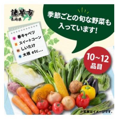 ふるさと納税 諫早市 諫早のんのこ彩菜・詰め合わせセット |  | 01