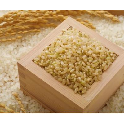 ふるさと納税 新庄市 【毎月定期便】はえぬき 玄米 10kg全3回 |  | 03