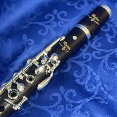 ふるさと納税 磐田市 B♭カスタムクラリネット　SE-V (YCL-SEV) |  | 01