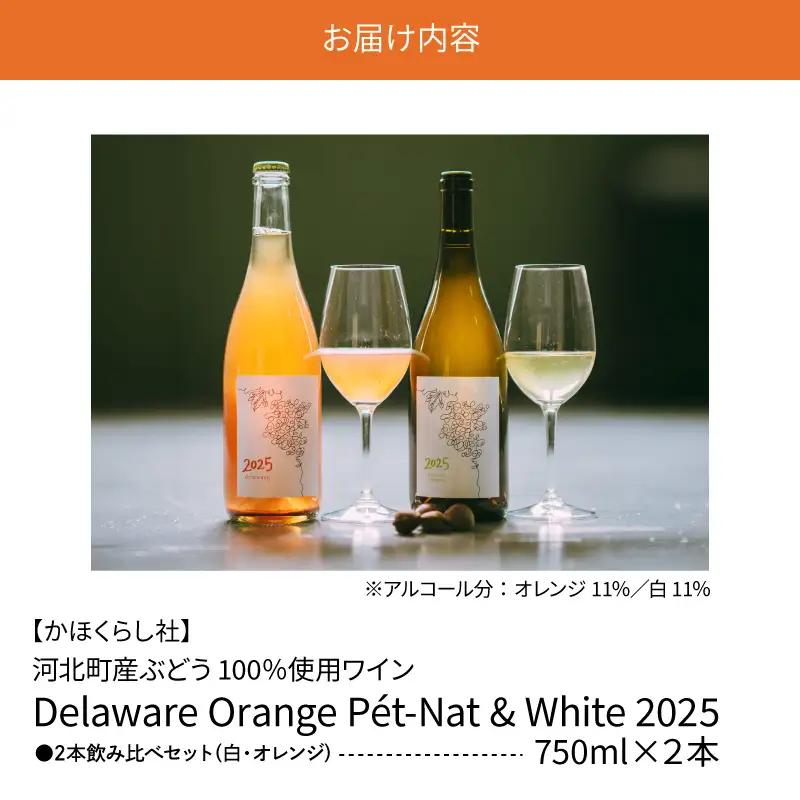 ワイン 2025 オレンジ白 2本飲み比べセット 各750ml ワイン
