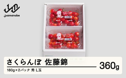 【先行予約】さくらんぼ 佐藤錦 秀品 L玉 180g×2パック  2026年産 令和8年産 山形県産 mm-snplx400
