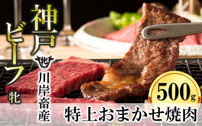 
            【神戸牛 牝】特上 焼肉 おまかせセット（500g）（25-10）
          