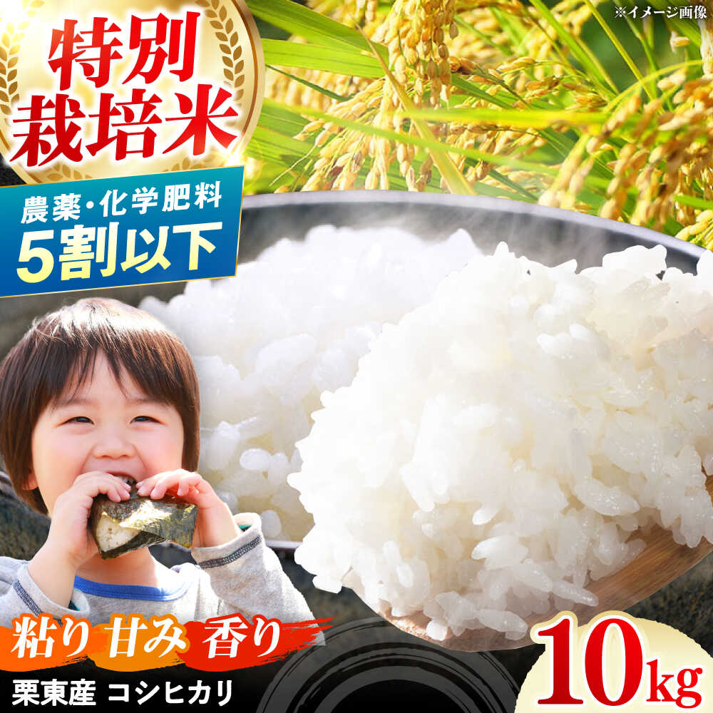 【ふるさと納税】令和6年度産 栗東産 特別栽培米 コシヒカリ 10kg / ご飯 ごはん ゴハン 新米 令和6年産 / 栗東市 / レーク滋賀農業協同組合[BIBV004]