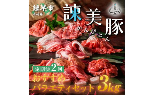 【2回定期便】＜米で育てた＞諫美豚おすすめバラエティセット3kg / 豚肉 ぶたにく 豚 ポーク 肩ロース ステーキ モモ 切り落とし ハンバーグ ロースステーキ パック 小分け / 諫早市 / 株式会社土井農場 [AHAD001]