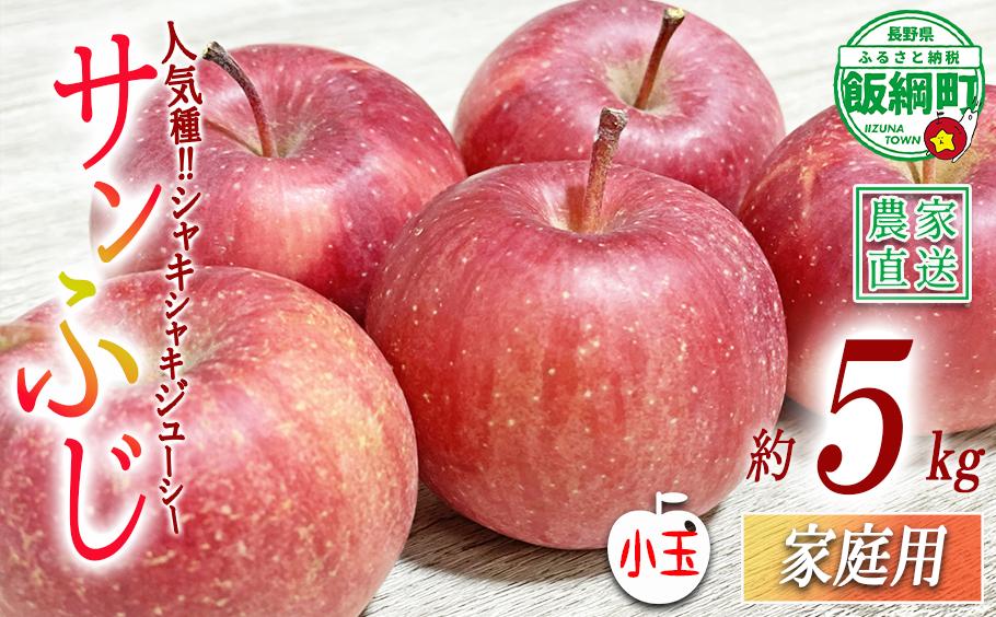 
                  りんご 小ささに訳あり サンふじ 家庭用 ( 小玉 ) 5kg 大友農場 エコファーマー認定 沖縄県への配送不可 2027年1月上旬頃から2027年2月下頃まで順次発送予定 令和7年度収穫分 信州 果物 フルーツ リンゴ 林檎 長野 予約 農家直送 長野県 飯綱町 [0836]
                