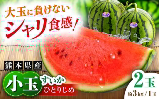 【先行予約】【数量限定】小玉すいか 2玉入（1玉 約3kg） 　【一般社団法人クラッシーノこうし】 [AYAB056]