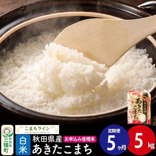 《定期便5ヶ月》【白米】あきたこまち 5kg 秋田県産 令和7年産  こまちライン [秋田 お米 米どころ あきたこまち こまちライン]