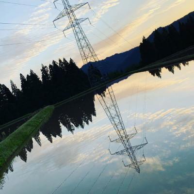 ふるさと納税 十日町市 【令和6年産】魚沼産特別栽培米コシヒカリ〈清津の恵〉精米 10kg(5kg×2袋) |  | 03