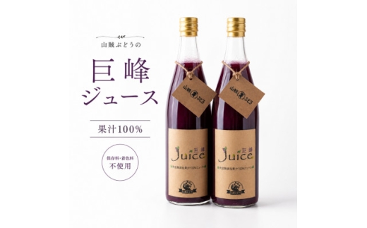 ぶどうジュース 山賊ぶどう 巨峰 100% ストレートジュース 720ml 2本 セット_ ふるさと納税 ふるさと ジュース フルーツジュース 果汁100% ストレートジュース ブドウ ぶどう 葡萄 人気 美味しい 山梨県 山梨市 山梨 送料無料【1277598】