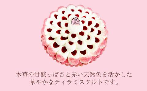 【舌にあふれる季節感♪こだわりのサクサクタルト】木苺 の ティラミス タルト / タルト ティラミス いちご 18cm 南島原市 / アトリエジジ [SAA003]