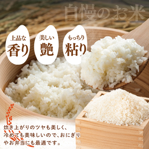 【翌月より順次発送】【数量限定】【令和7年度産】茨城県産コシヒカリ 5kg【米 おこめ こしひかり 農家直送 直送 水戸市 茨城県】(ND-3)