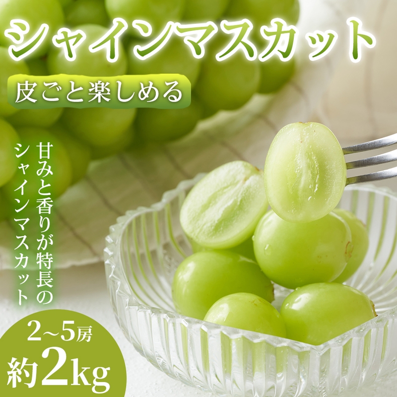 
                  【皮ごと食べれる】熊本県産シャインマスカット 2～5房(約2kg) 1箱｜芳醇な香りと濃厚な甘み シャインマスカット ぶどう フルーツ 高級 甘い  ギフト 贈答用 家庭用 お取り寄せ 熊本県
                