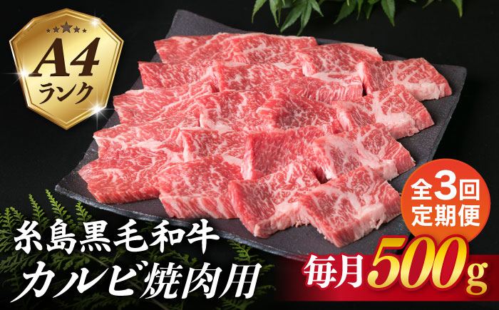 
                  【全3回定期便】【焼肉用】A4ランク 糸島 黒毛和牛 カルビ 500g 糸島市 / 糸島ミートデリ工房 [ACA293]
                