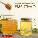 【ふるさと納税】KYOTOTANGOHONEY森の百花蜜純粋天然ハチミツ300g 300g 純粋 非加熱 天然 ハチミツ はちみつ 天然はちみつ ビタミン アミノ酸 贈り物 プレゼント 健康 養蜂 生産者支援 送料無料