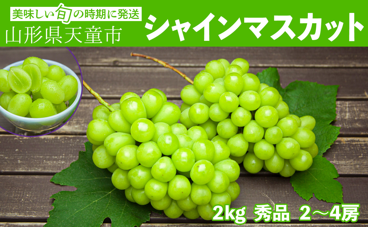 
                  08-06-025　ぶどう(シャインマスカット)約2kg
                