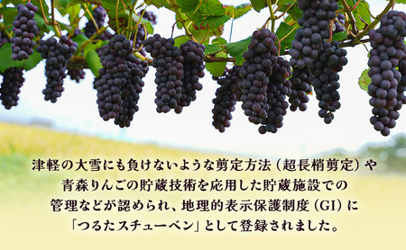 【数量限定】芽実農園の農家直送スチューベン 約2kg【10月～1月発送】青森県鶴田町産