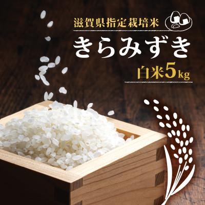 ふるさと納税 竜王町 【2025年2月下旬発送】【2024年産】きらみずき5kg | 