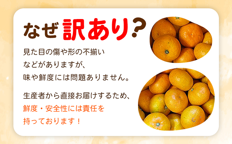 ＜fululy直送 温州みかん 訳あり 約4.5kg 小玉サイズ（3S〜S）＞ ワケアリ サイズ混合 小玉 果物 フルーツ 蜜柑 うんしゅうみかん ウンシュウミカン 柑橘 家庭用 合同会社fululy