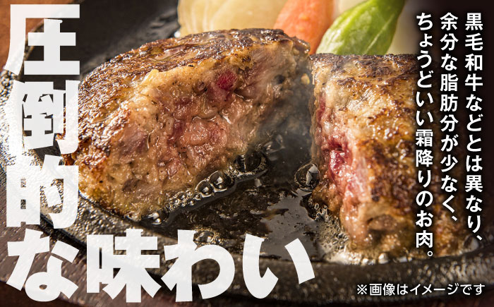 肥後の赤牛 ハンバーグ 150g×10個 計1.5kg 熊本県産 牛肉100％ 赤牛 ジューシー 褐牛 あかうし 褐毛和種 肥後 冷凍 国産 牛肉 熊本 【やまのや】[YDF001] 10000 10