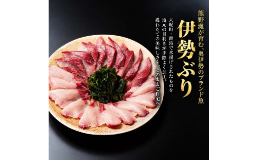 （冷凍）【１月第４週発送】伊勢ぶり しゃぶしゃぶ セット 選べる配送月 約200g ／ 2人前 3人前 鰤 ブリ ひろめ付 冷凍 年内配送 年末 お取り寄せ 海鮮 魚 ギフト 鍋 海産物 水産物 三重
