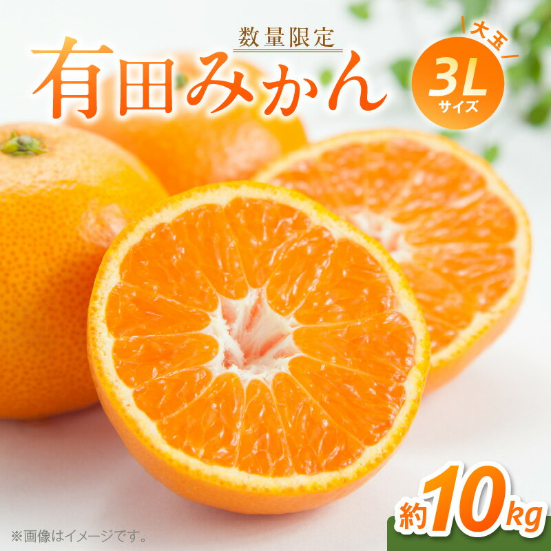 【ふるさと納税】【2025年先行予約】 【数量限定】 有田みかん 大玉 3Lサイズ 10kg 【ミカン 柑橘 温州みかん 和歌山】