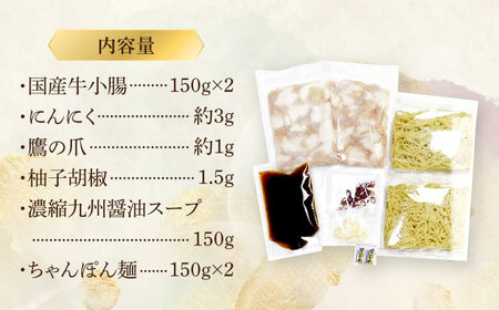 博多もつ鍋セット(九州醤油仕立て) 2～3人前 国産牛もつ300g＜株式会社ベネフィス＞那珂川市[GED043]